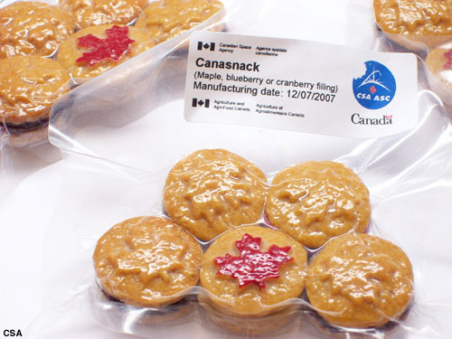 Santapan Astronot Di Luar Angkasa